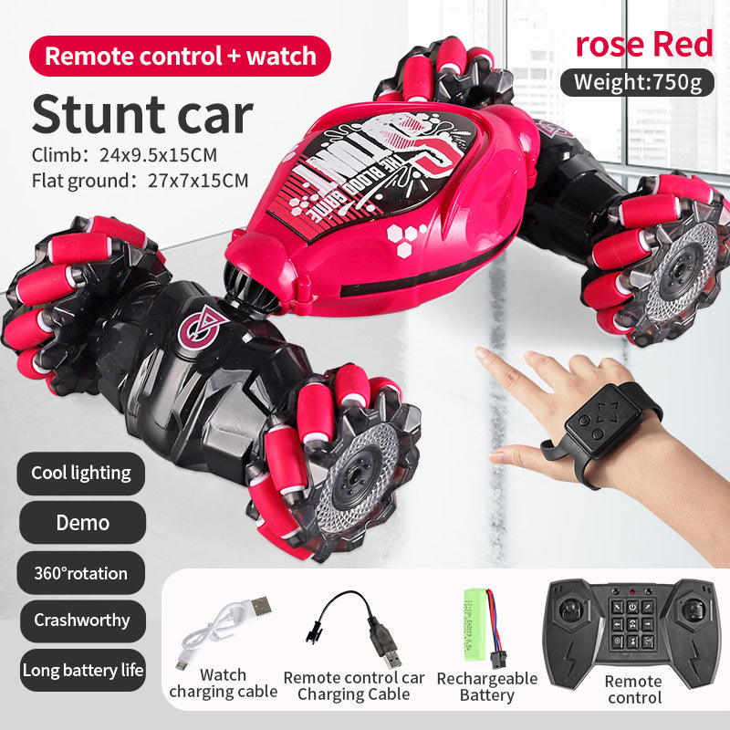 Rogue360 RC Stunt Car