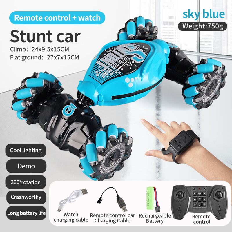 Rogue360 RC Stunt Car