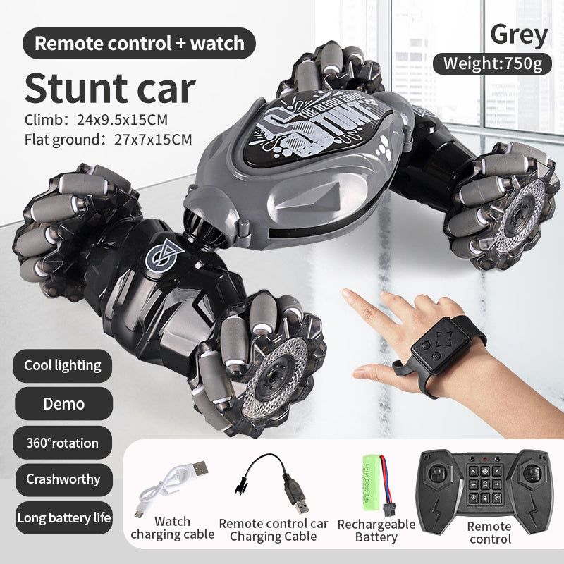 Rogue360 RC Stunt Car